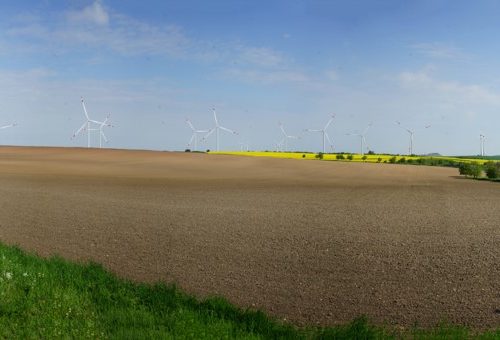 Visualisierung Standort Friedrichsberg (Quelle: MVV Energie AG)