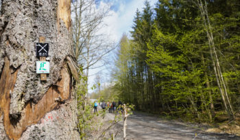 Netzwerkevent nachhaltig.wandeln SEG