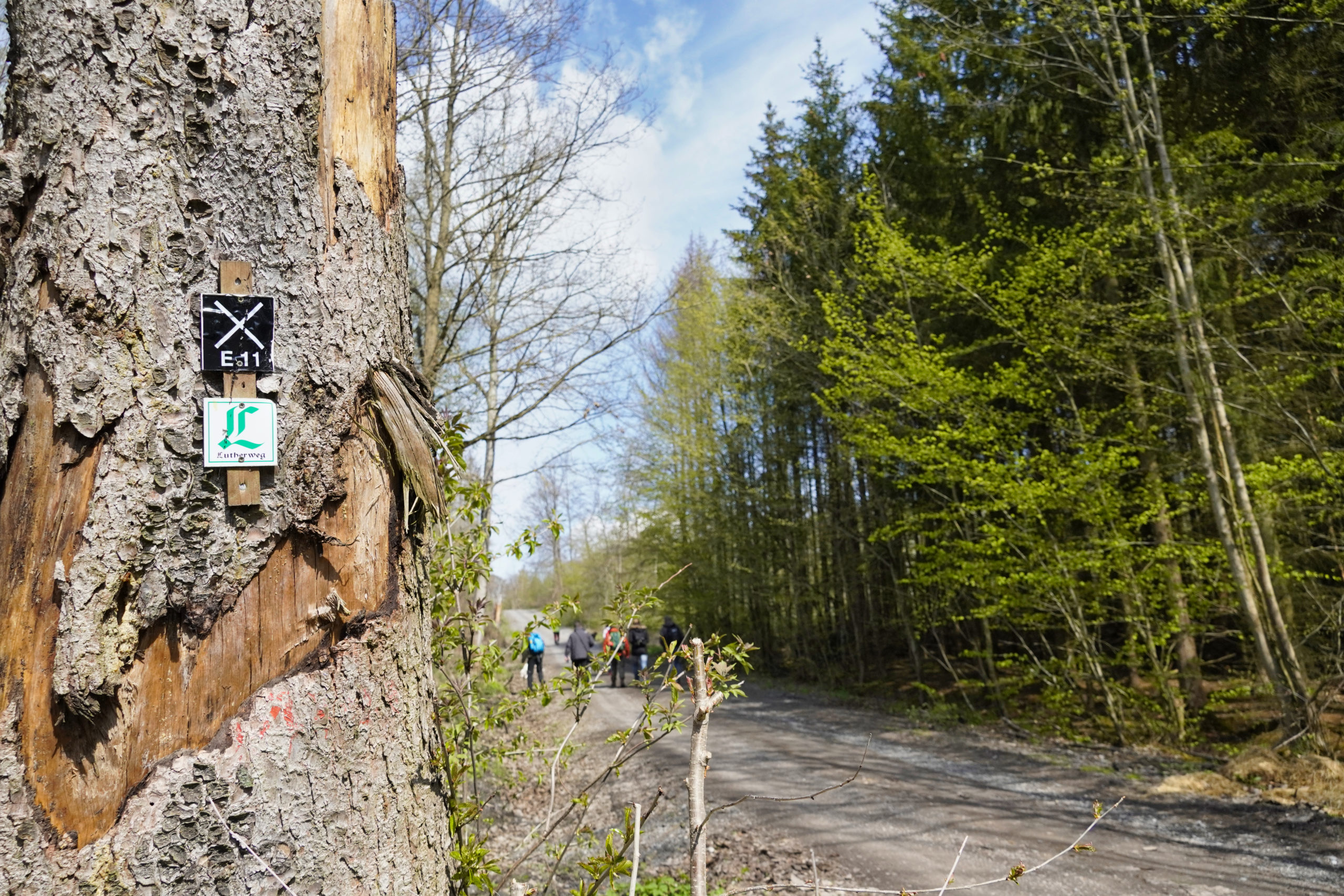 Netzwerkevent nachhaltig.wandeln SEG