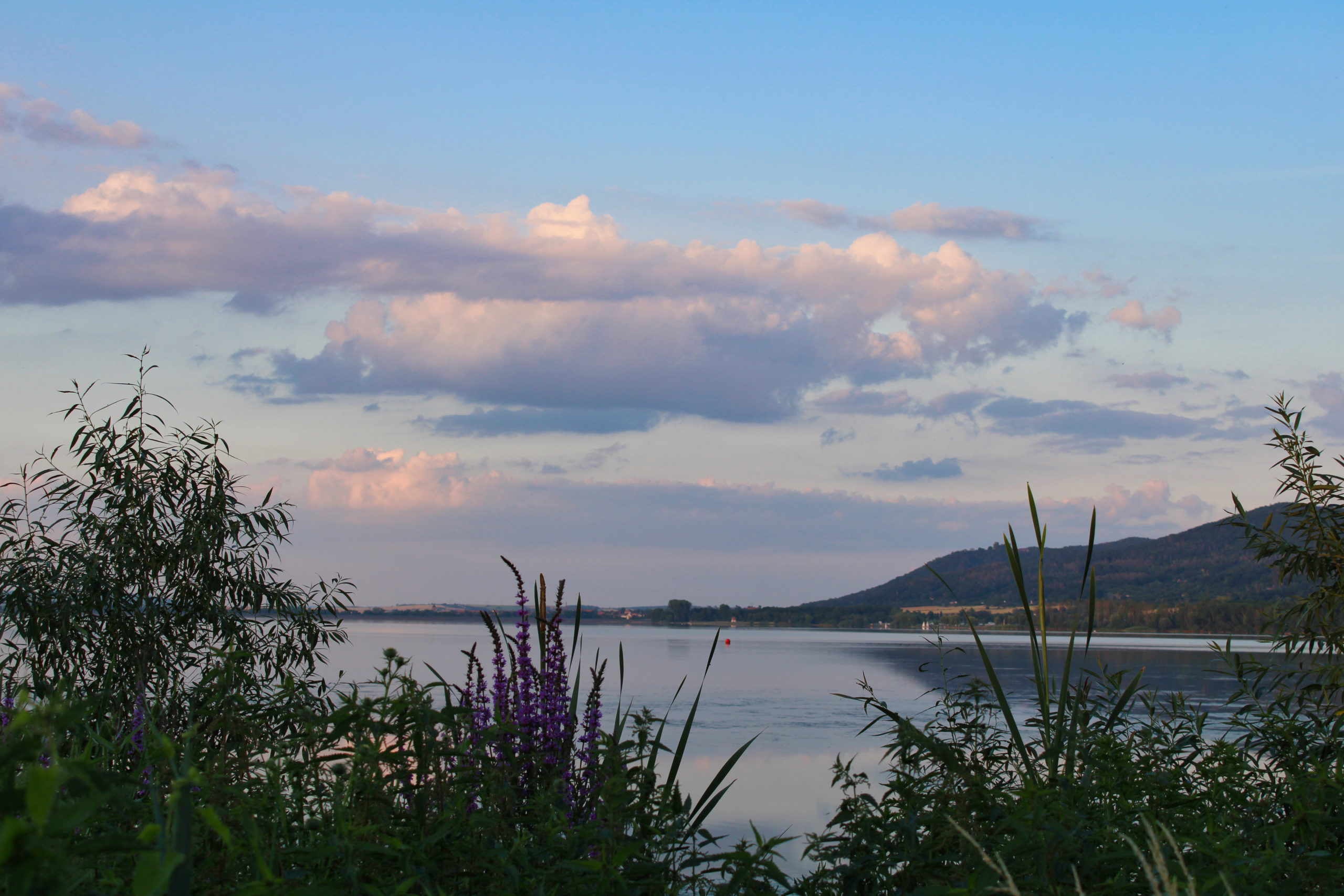 Stausee Kelbra - Sonnenuntergang